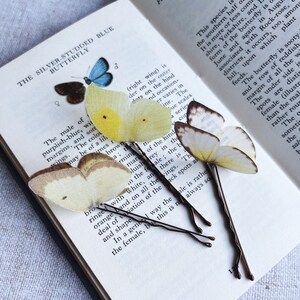 3 silk butterfly wedding hair pins sit on an open vintage butterfly book. The butterflies are palest yellow and have their wings folded like real butterflies