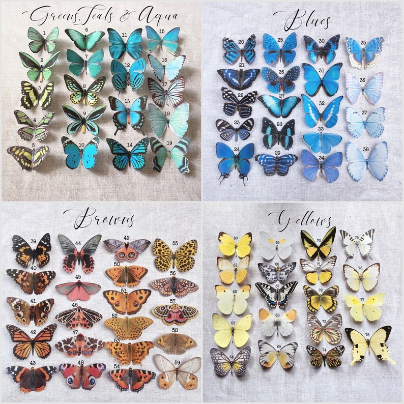 Silk Butterfly hair clips image 9