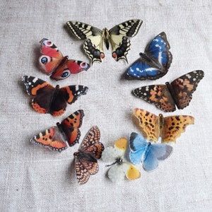 British Butterflies | Silk embellishments | Millinery supplies | Sewing appliqués | DIY hair clips and pins