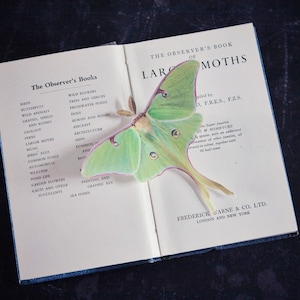 A vintage book about moths lies open with a hand cut silk luna moth hair clip on top. the moth accessory has a 11cm wing span and has been finished with sparkling crystals on the eyes on the wings