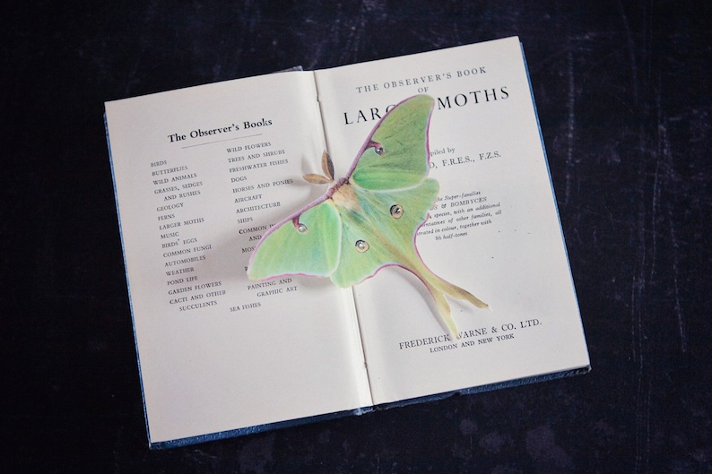 A vintage book about moths lies open with a hand cut silk luna moth hair clip on top. the moth accessory has a 11cm wing span and has been finished with sparkling crystals on the eyes on the wings