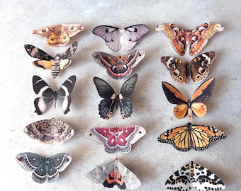 Moth and Butterfly hair clips: Silk & Crystal Autumn inspired accessories. Choose your own colours
