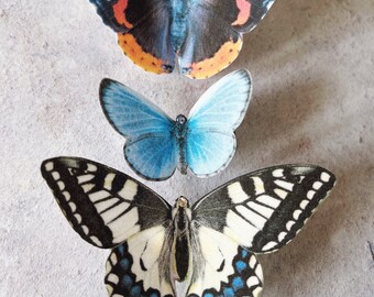 Silk Butterfly Hair Clips: Set of Three British Butterflies  display picture 3