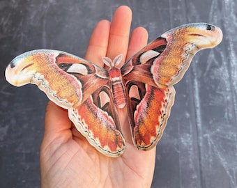 Pinza para el pelo de polilla Atlas: hecha a mano con seda, accesorio de bruja para Halloween.