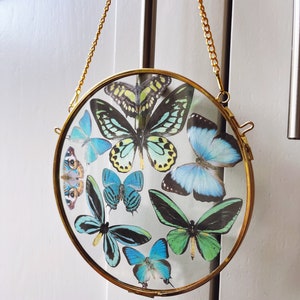 Circular glass frame filled with a kaleidoscope of silk butterflies