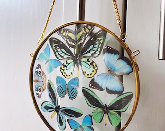 Circular glass frame filled with a kaleidoscope of silk butterflies