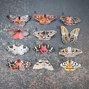 Silk moth hair clips with crystal detail. Gothic wedding accessories, unique and colourful hair clips. Gift for a Witchy girl.