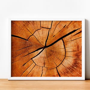 Wooden Texture Canvas Wall Art | Rustic Tree Rings Print | Nature-Inspired Home Decor Canvas Wall Art