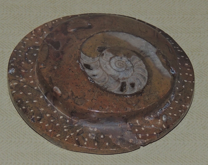 FOSSIL Paperweight