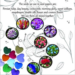 Carta semi personale / Bomboniere in carta semi / Regalo in carta semi / Regalo di fiori immagine 8