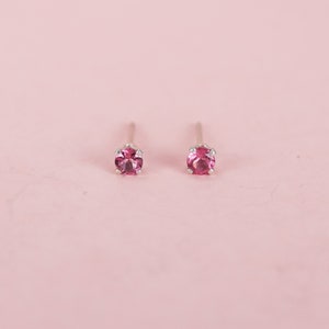 Op de afbeelding: Een paar kleine zilveren oorbelletjes met roze edelstenen.