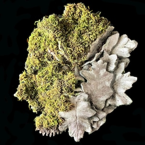 May include: A sculpted wall hanging featuring a Green Man face. The left side is covered in vibrant green moss, while the right side depicts a face and oak leaves in a neutral color. The artwork is set against a black background.