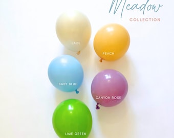 Meadow Balloon Garland Kit – Pastel Wildflower Boho Party Decoration for Baby Showers, Birthdays