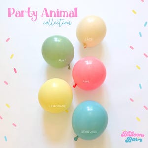 Party Animal DIY Balloon Garland Kit, Calling All Party Animals Birthday, Animal Party Decorations, Wild One Theme, One Little Party Animal