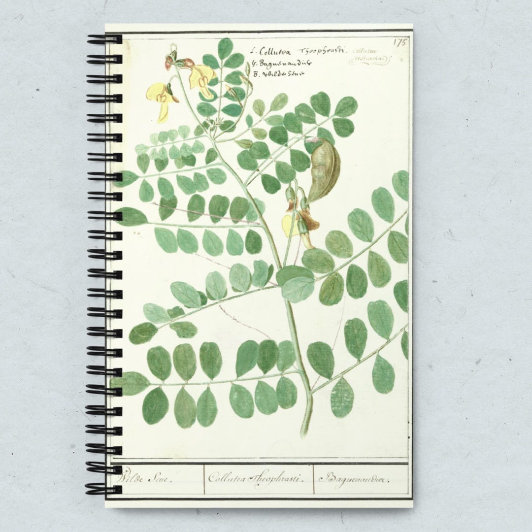 Retro Botanical Notebook: Dotted Pages, Historic Plant Art - Etsy