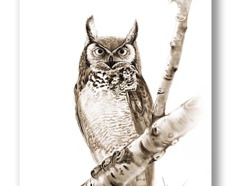 Pencil Sketch in Sepia of Owl,  Digital Charcoal Drawing, Bird Wall Art Print