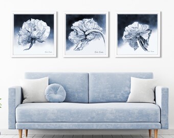 Botanical Floral Illustration Triptych, Set of 3 Flower Prints of Original Charcoal Drawings, Bold Pencil Drawings for Minimalist Decor