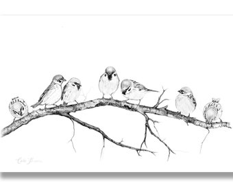 Charcoal Drawing Birds on Tree Branch, Print of Original Black White Pencil Drawing of Sparrows