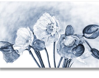 Blue White Botanical Drawing of Poppies, Print from Original Charcoal Drawing of Flowers