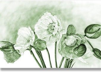 Botanical Pencil Drawing of Poppies in Green White, Print from Original Charcoal Floral Drawing