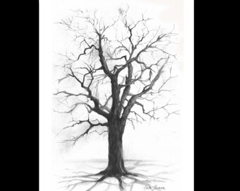 PRINT Charcoal Pencil Drawing of Tall Oak Tree