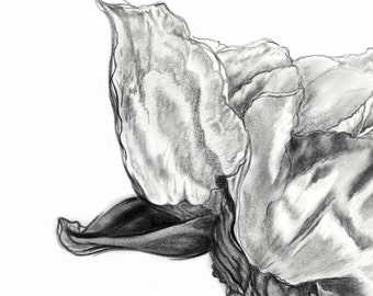 花の鉛筆画A4サイズ 0_2095df496d7352f7cd52c2455ee0