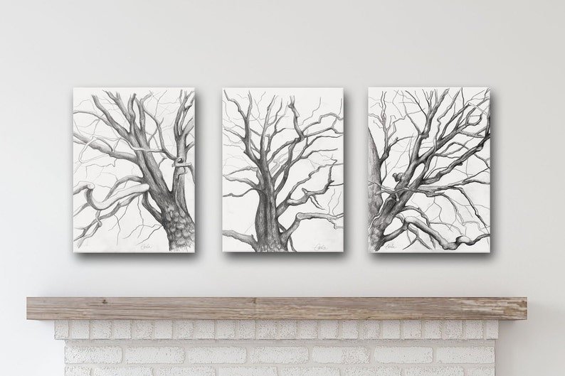 Set of 3 Prints Tree Charcoal Drawings, Branches Sketches Triptych ...
