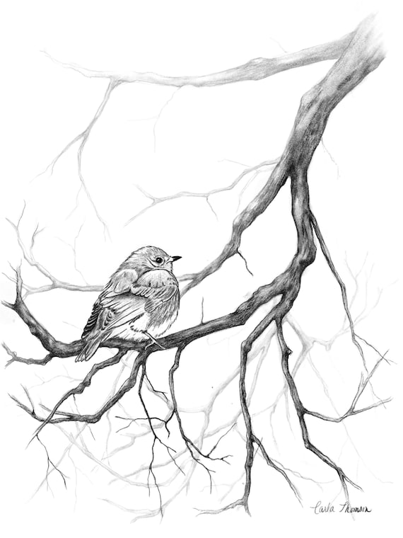 Bird tree