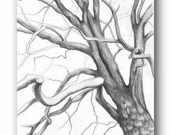 Tree Branches Charcoal Drawing, Botanical Wall Art, Black White Illustration, Tree of Life Art Sketch
