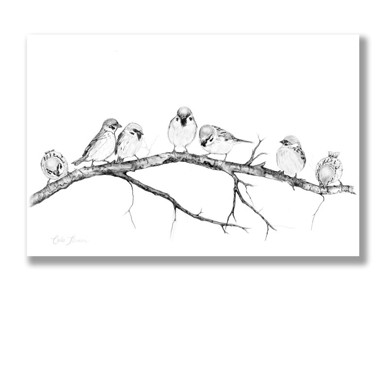 Charcoal Drawing Birds on Tree Branch, Print of Original Black White Pencil Drawing of Sparrows image 1