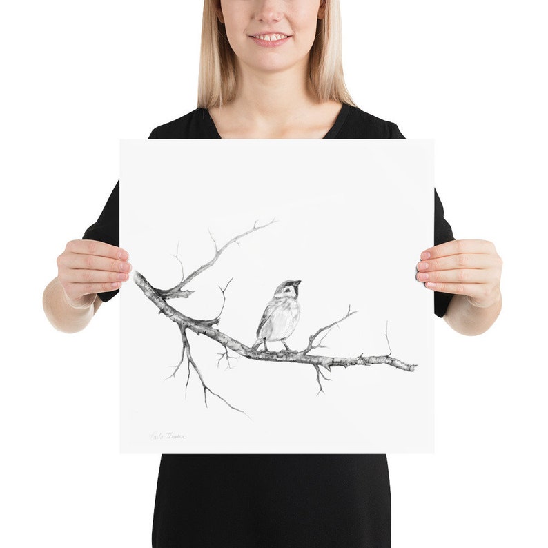 Charcoal Pencil Drawing of Sparrow on Tree Branch, Print of Original Black White Pencil Sketch image 7