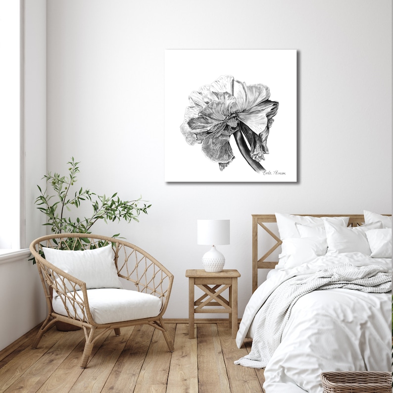 Black White Pencil Drawing Print Botanical Illustration of - Etsy