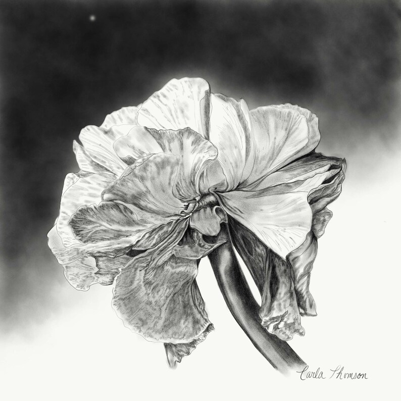 Set of 3 Charcoal Botanical Prints, Black and White Floral