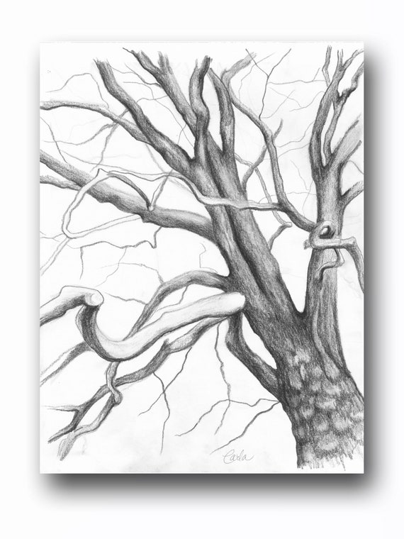 JOSE TRUJILLO - MODERN Contemporary ORIGINAL CHARCOAL DRAWING Dried Tree  Trunk | eBay