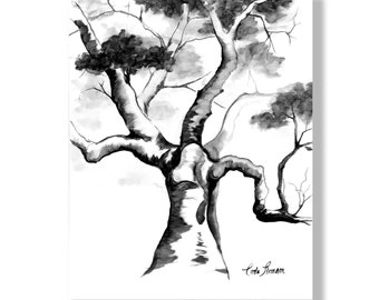 Oil Drawing of Birch Tree PRINT of Original Botanical Illustration Sketch on Canvas