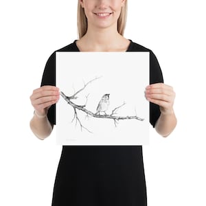Charcoal Pencil Drawing of Sparrow on Tree Branch, Print of Original Black White Pencil Sketch image 5