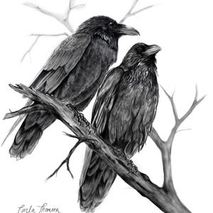 Disegno a carboncino di due corvi – Stampa artistica di un uccello gotico – Decorazione murale ispirata alla natura