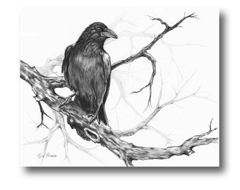 Charcoal Drawing Raven on Tree Branch, Black White Original Pencil Illustration, Bird Wall Art Print