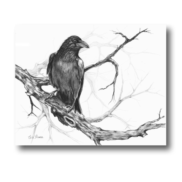 Charcoal Drawing Raven on Tree Branch, Black White Original Pencil Illustration, Bird Wall Art Print