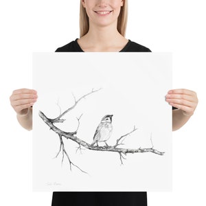 Charcoal Pencil Drawing of Sparrow on Tree Branch, Print of Original Black White Pencil Sketch image 8