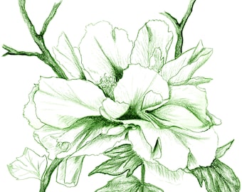Peony Botanical Charcoal Drawing Green and White Wall Art, Floral Pencil Drawing Prints, Minimalist Wall Decor