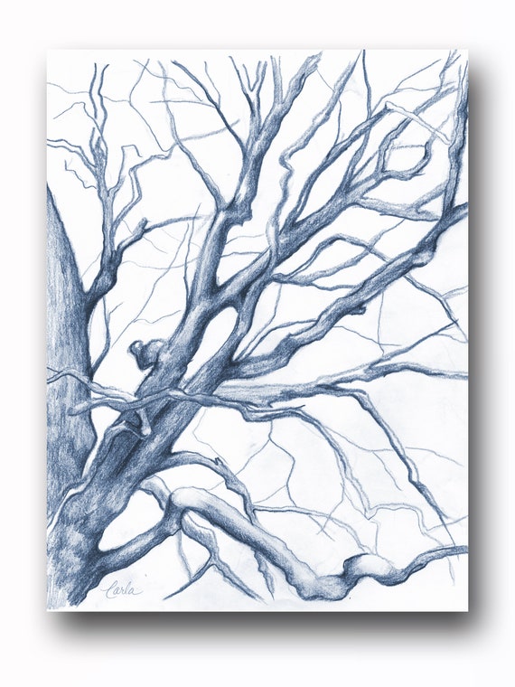 Photo Painting Digital Winter Tree Branches Unframed Wall Art Poster