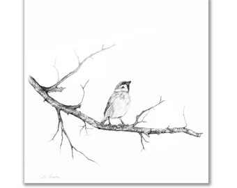 Charcoal Pencil Drawing of Sparrow on Tree Branch, Print of Original Black White Pencil Sketch