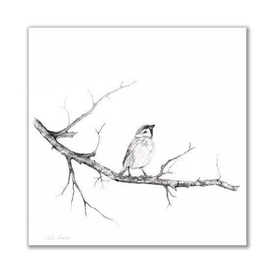 Vector illustration of isolated realistic tree branch with leaves and two  birds in black color on white background wall  CanStock