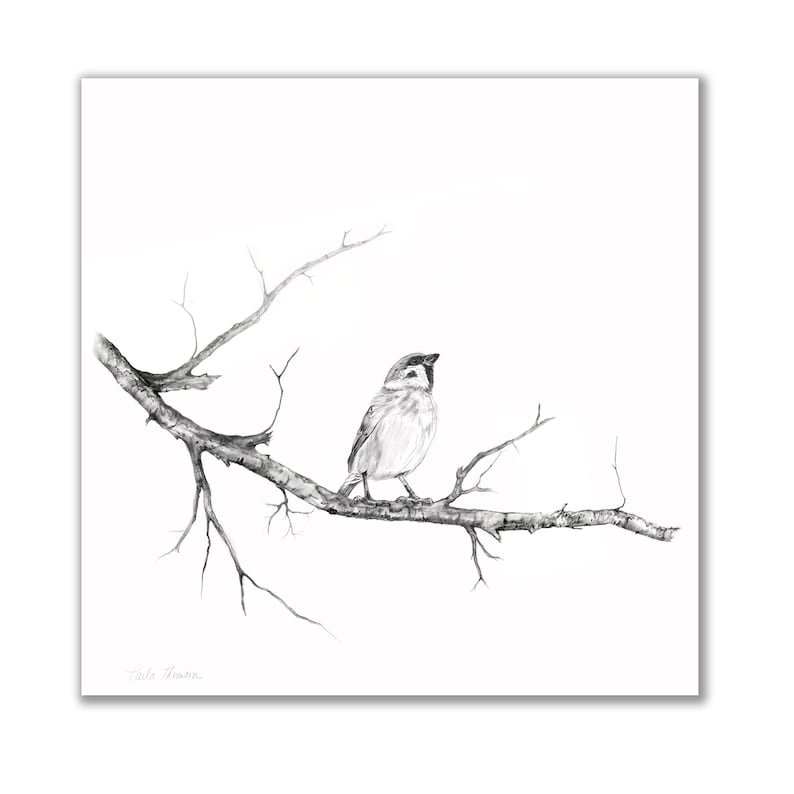 Charcoal Pencil Drawing of Sparrow on Tree Branch, Print of Original Black White Pencil Sketch image 1