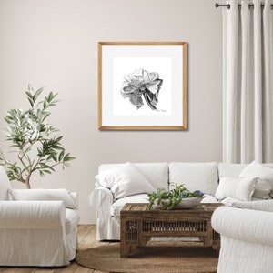 Black White Pencil Drawing Print Botanical Illustration of - Etsy