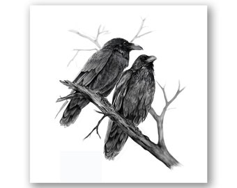 Charcoal Drawing Two Ravens on Tree Branch, Black White Original Pencil Illustration, Bird Art Print