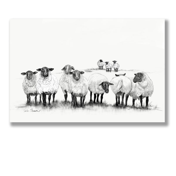 Houtskooltekening van schapen, zwart-wit print van originele potloodtekening van kudde schapen