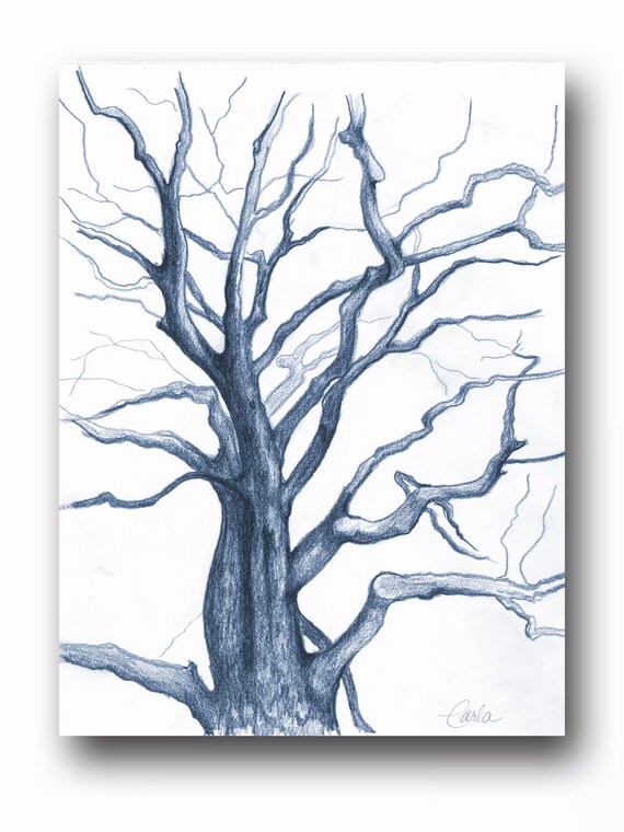 Stampa Di Arte Parete Blu Navy Albero Della Vita Rami Disegno A Carboncino Illustrazione Botanica Bianco E Nero Pianta Schizzo