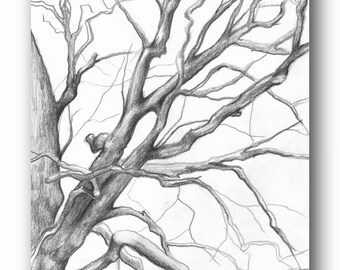 Tree Illustration Print, Charcoal Drawing of Branches, Winter Tree Sketch, Botanical Art, Tree of Life Wall Art